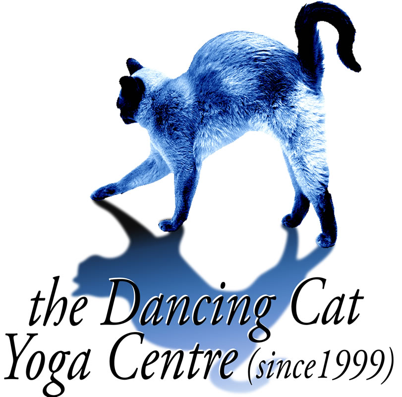The Dancing Cat Yoga Centre